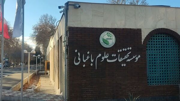 نیم‌قرن جهش علمی در باغبانی ایران؛ از باغداری سنتی تا تولید دانش‌بنیان