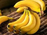 اجرای اولین گلخانه مدرن موز در یزد
