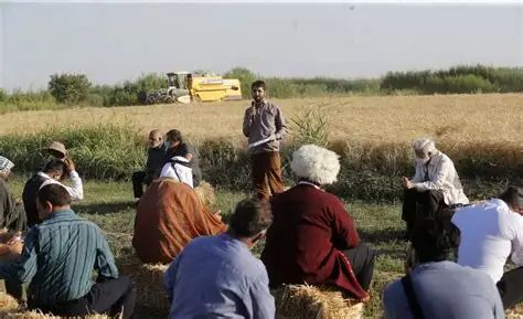 تعامل با کشاورزان شرط موفقیت طرح‌های آموزشی و ترویجی است