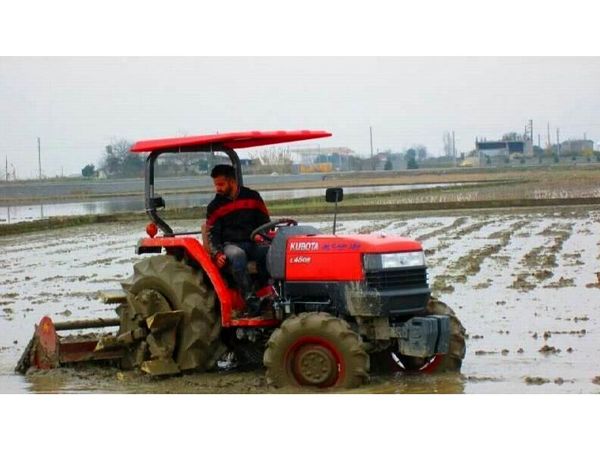 شخم و شیار 24 هزار هکتار شالیزار بابل