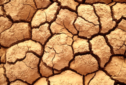 کارگاه فائو برای متخصصان ایرانی جهت ایجاد سامانه کشوری شاخص تنش کشاورزی