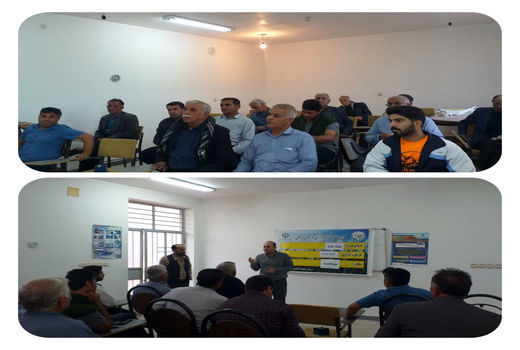 ارتقاء کیفیت خاک و تولید محصول با حفظ بقایای گیاهی