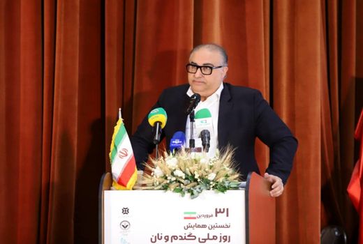 سیاستهای حوزه نان مورد بازنگری قرار گیرد/ لزومن به رسمیت شناختن مفهوم «گندم دامی»