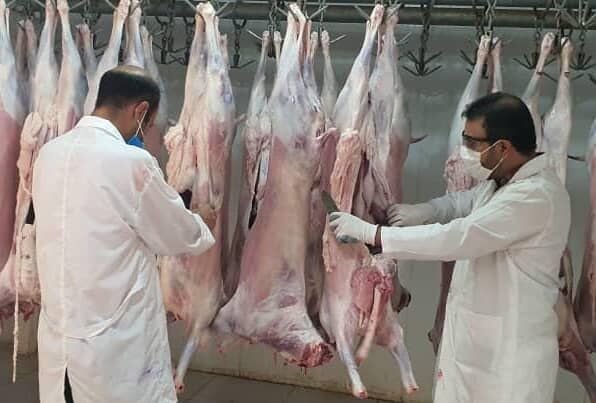 نظارت بهداشتی و شرعی  48 اکیپ ثابت و سیار دامپزشکی بر کشتار دام های نذری در آذربایجان غربی
