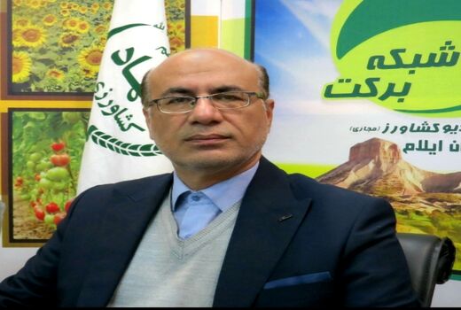 تولید گوشت در استان ایلام بیش از ۱۳ هزار تن است