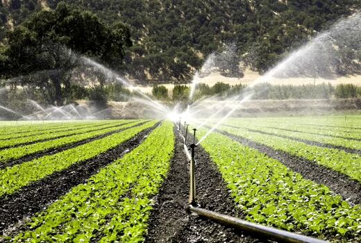 آذربایجان شرقی پیشرو در اجرای سیستمهای نوین آبیاری
