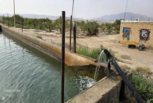 افزایش پرورش ماهیان گرمابی در استخرهای کشاورزی زرین دشت 