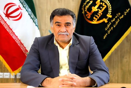 برداشت سالانه ۱۷ هزار تن پنبه در خراسان جنوبی