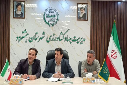 رصد به‌موقع سن گندم و زنگ زرد، کلید حفظ عملکرد و کیفیت محصول گندم در مزارع آذربایجان شرقی است