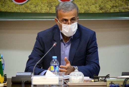 افزایش 47 درصدی تولید کلزا در خوزستان