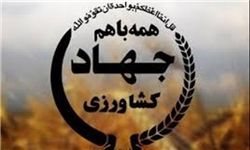 برگزاری جلسه کمیته ارتقاء بهره وری در سازمان جهاد کشاورزی خراسان جنوبی
