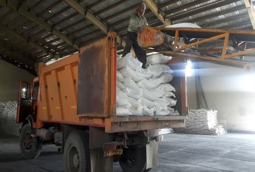 تأمین و توزیع 140 تن انواع کودهای یارانه‌ای در شهرستان کرج