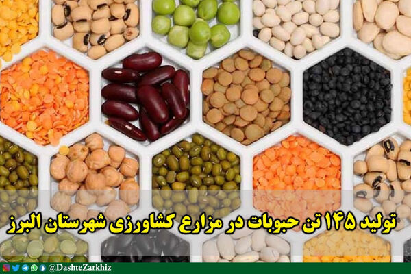 تولید ۱۴۵ تن حبوبات در مزارع کشاورزی شهرستان البرز