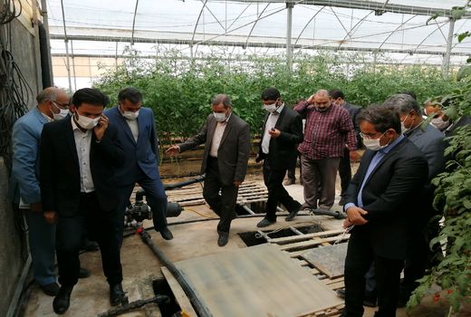 بازدید نماینده مجلس و رییس سازمان جهاد کشاورزی خراسان جنوبی از مجتمع گلخانه‌ای محمدیه