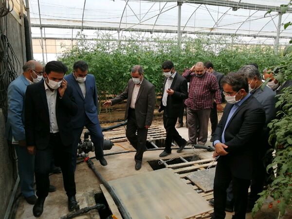 بازدید نماینده مجلس و رییس سازمان جهاد کشاورزی خراسان جنوبی از مجتمع گلخانه‌ای محمدیه