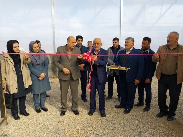 افتتاح یک طرح باغبانی در شهرستان تاکستان