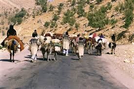 استقرار ۱۲ فروشگاه توزیع ارزاق در مسیر کوچ عشایر