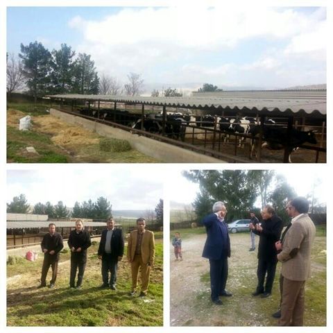 بازدید نماینده مجلس  از پروژه‌های شاخص کشاورزی ایوان