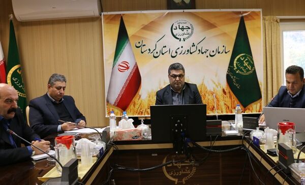 طرح الگوی کشت در استان کردستان به مرحله اجرا در می آید
