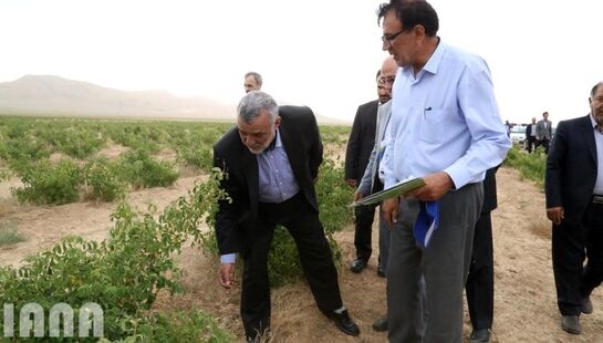 سفر وزیر جهاد کشاورزی به شهرستان میمه، استان اصفهان