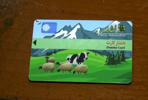 بانک کشاورزی برای صدور دامدارکارت آمادگی کامل دارد