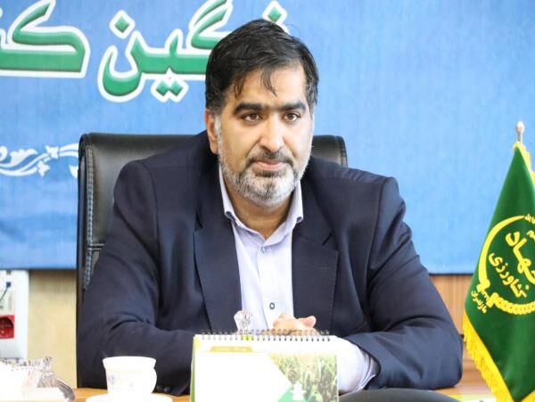 تولیدات دام و طیور مازندران در مسیر جهش تولید است