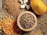مشتقات برنج، راهکاری اقتصادی برای تأمین خوراک دام در شرایط کمبود نهاده‌هاست