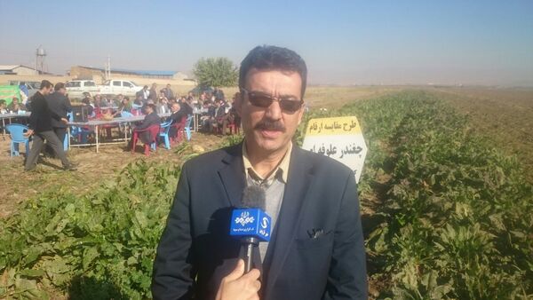 سالانه ۲۰ میلیون تن محصولات علوفه ای در کشور تولید می شود