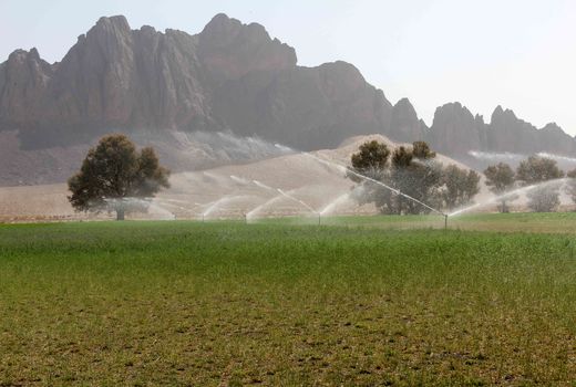 تجهیز38 هزارهکتارازاراضی سیستان وبلوچستان به سیستم نوین آبیاری