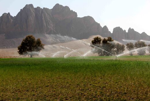 تجهیز38 هزارهکتارازاراضی سیستان وبلوچستان به سیستم نوین آبیاری