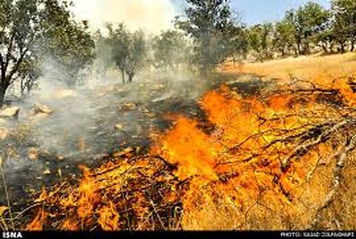 20 هکتار از مراتع روستای «زعفرانیه» دهلران طعمه حریق شد
