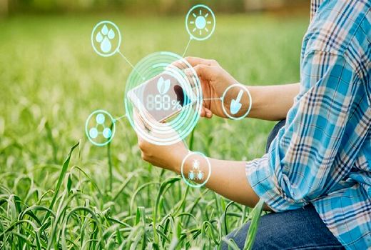 پایداری تولید با کشاورزی دانش بنیان محقق خواهد شد