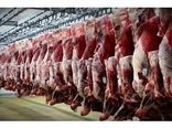 520 تن گوشت قرمز در بابل تولید شد/ ارزش اقتصادی هزار میلیاردی