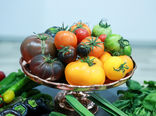  سومین نمایشگاه محصولات سلامت محور (FOOD HEALTE) 