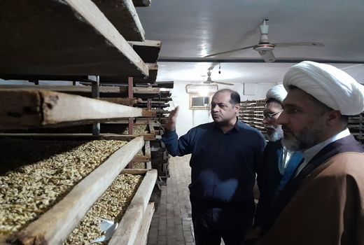 دستور کار سازمان، حذف سموم پر خطر و تولید محصول سالم است