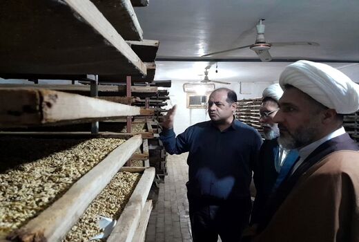 دستور کار سازمان، حذف سموم پر خطر و تولید محصول سالم است