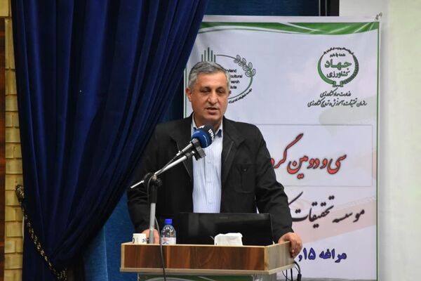 ۸۰ درصد اراضی کشاورزی آذربایجان شرقی دیم است/ ضرورت تسریع در پرداخت مطالبات گندمکاران