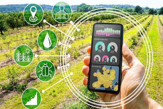  خدمات هوشمندسازی اراضی کشاورزی مورد حمایت قرار گیرند/ کشاورزی هوشمند، نیازمند سیاست‌گذاری