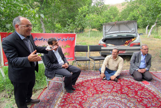 برگزاری کارگاه آموزشی مراقبت های بعد از پیوند درختان گردو در کلیبر