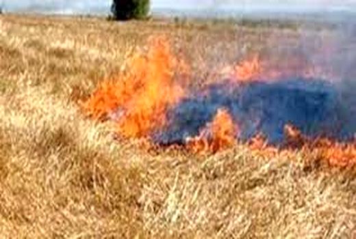 جلوگیری از آتش زدن کاه و کلش در مزارع شادگان