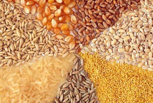 نهاده‌های دامی همچنان با نرخ ۱۱هزار و ۳۰۰ تومان عرضه می‌شود/ خریداری ذخایر راهبردی فراتر از تکلیف قانونی 