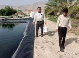 پرورش ماهی سی بس برای اولین بار در فراشبند