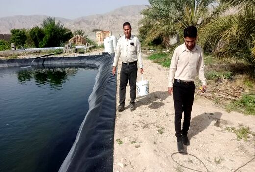 پرورش ماهی سی بس برای اولین بار در فراشبند