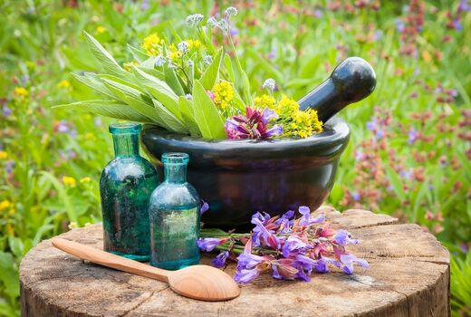 ارزآوری 450 میلیون دلاری صادرات گیاهان دارویی در 9 ماهه سال جاری