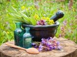 اجرای طرح پایلوت کشت گیاهان دارویی در شهرستان شهریار