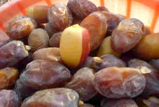 بسته‌بندی ۱۱۰ تن خرمای مرغوب در میناب