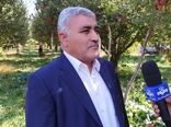اشتغال بیش از ۶۵ هزار بهره‌بردار در باغات سیب آذربایجان غربی 
