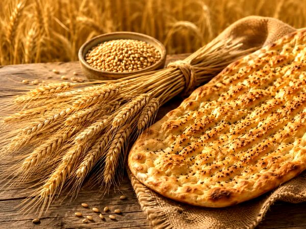 ضرورت اصلاح سازوکار پرداخت کشاورزان و توسعه نان سبوس‌دار