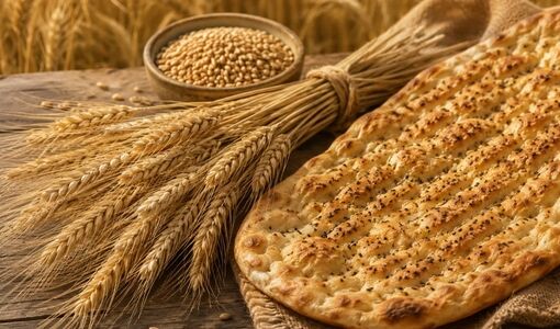 ضرورت اصلاح سازوکار پرداخت کشاورزان و توسعه نان سبوس‌دار