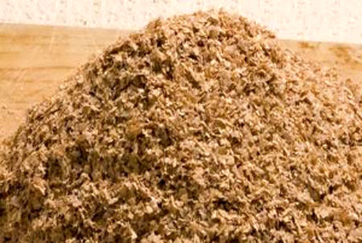 توزیع 2040 تن سبوس و 12 هزار تن کنسانتره یارانه‌ای بین دامداران شهرستان بجنورد 